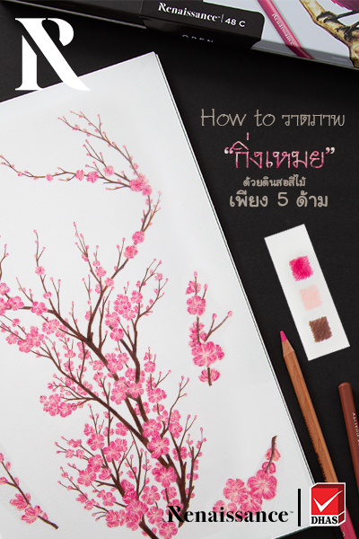 Renaissance สีไม้